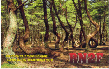 202607_近着ＱＳＬ